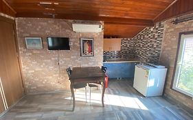 Camel Apartment